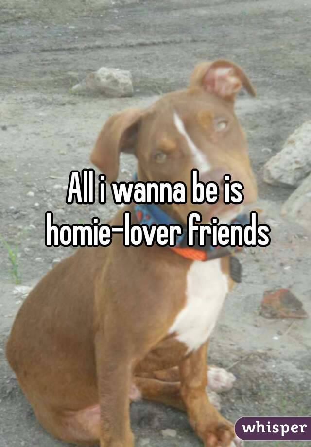 All i wanna be is homie-lover friends