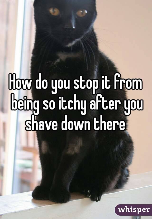 How do you stop it from being so itchy after you shave down there 