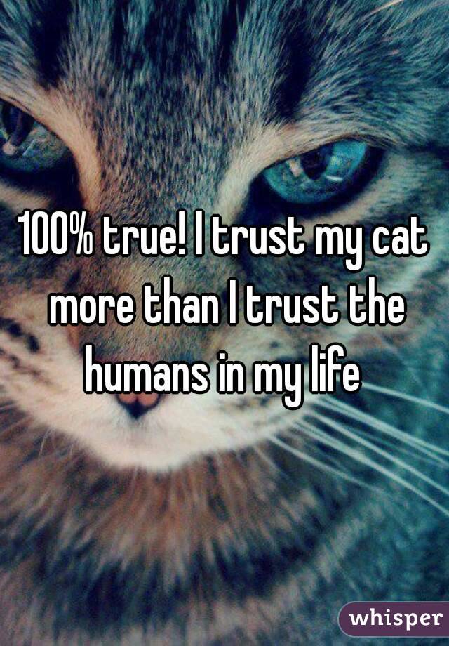 100% true! I trust my cat more than I trust the humans in my life 
