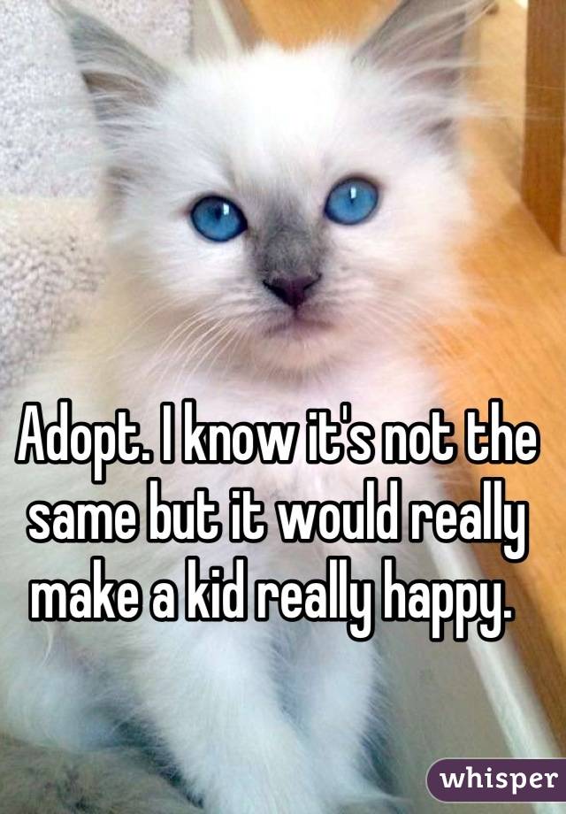 Adopt. I know it's not the same but it would really make a kid really happy. 
