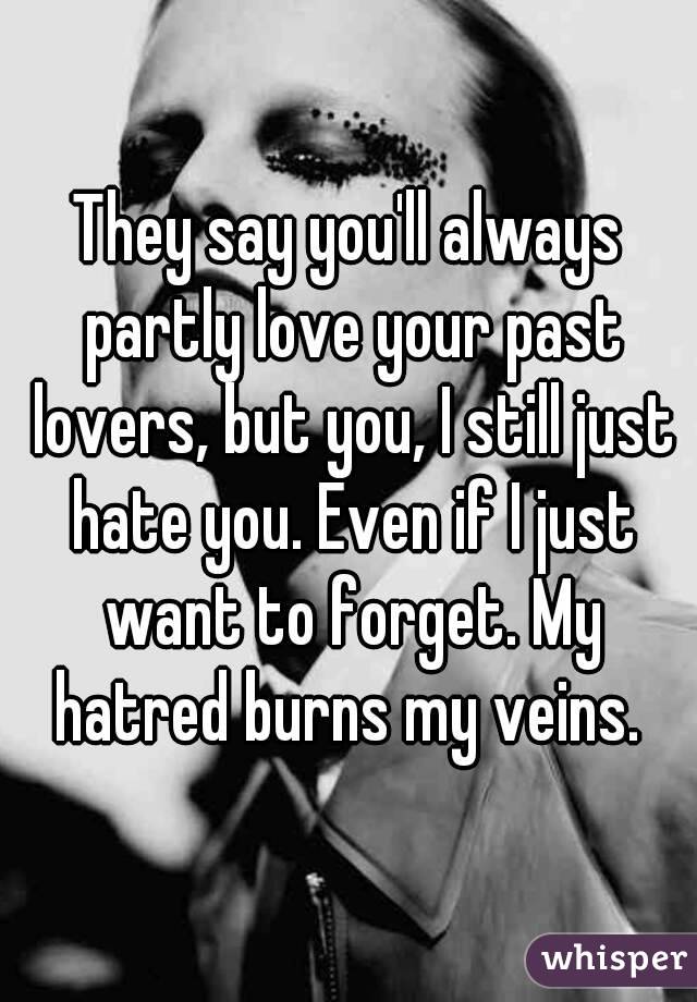 They say you'll always partly love your past lovers, but you, I still just hate you. Even if I just want to forget. My hatred burns my veins. 