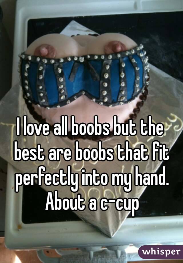 I love all boobs but the best are boobs that fit perfectly into my hand. About a c-cup