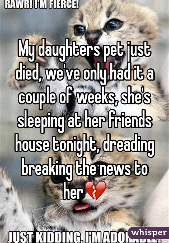 My daughters pet just died, we've only had it a couple of weeks, she's sleeping at her friends house tonight, dreading breaking the news to her💔