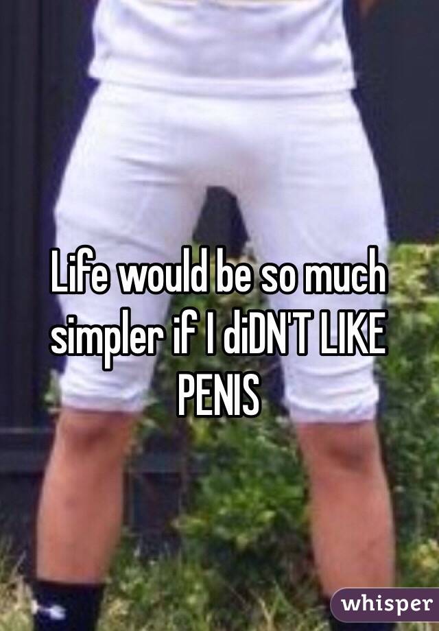 Life would be so much simpler if I diDN'T LIKE PENIS