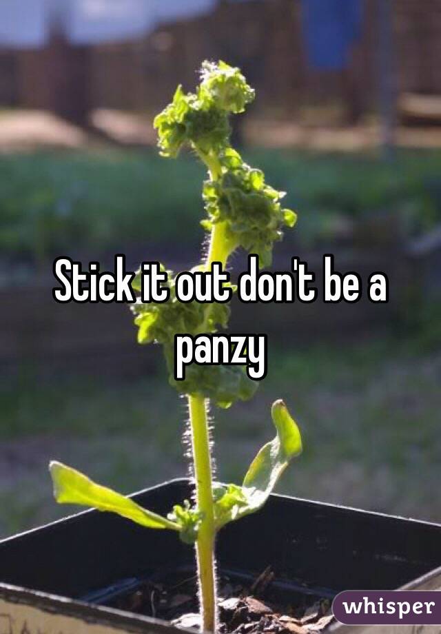 Stick it out don't be a panzy 