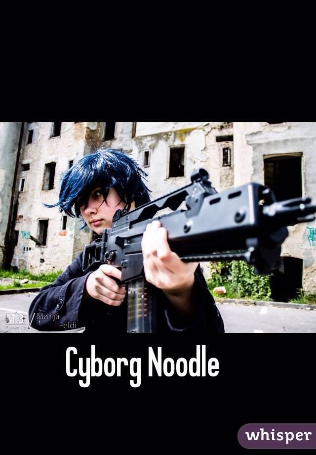 Cyborg Noodle