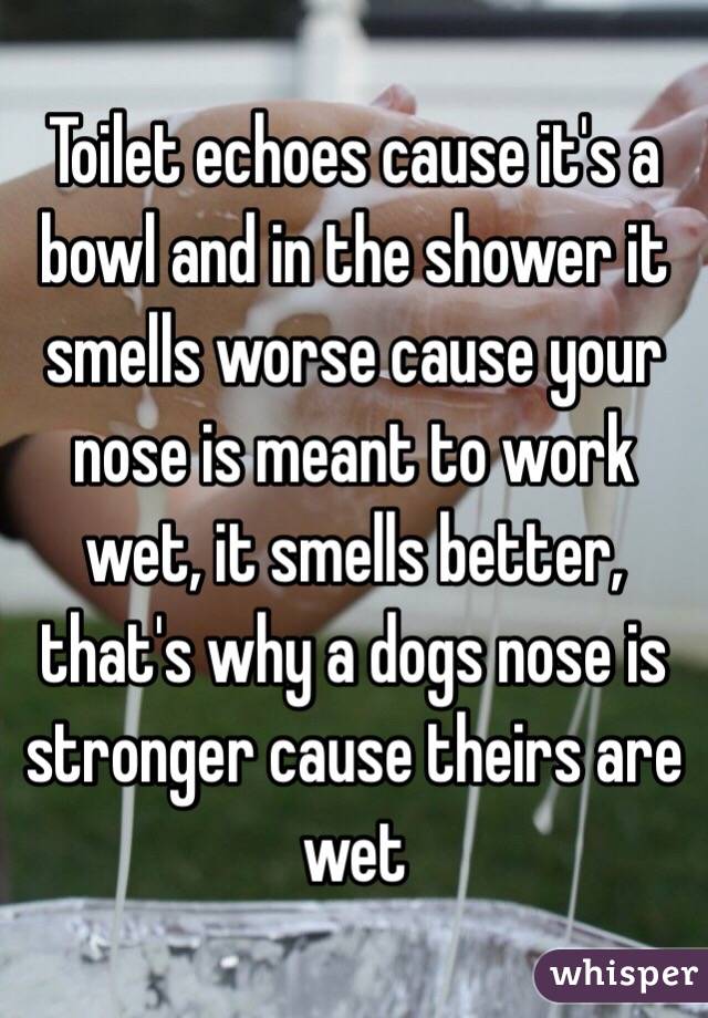 Toilet echoes cause it's a bowl and in the shower it smells worse cause your nose is meant to work wet, it smells better, that's why a dogs nose is stronger cause theirs are wet 