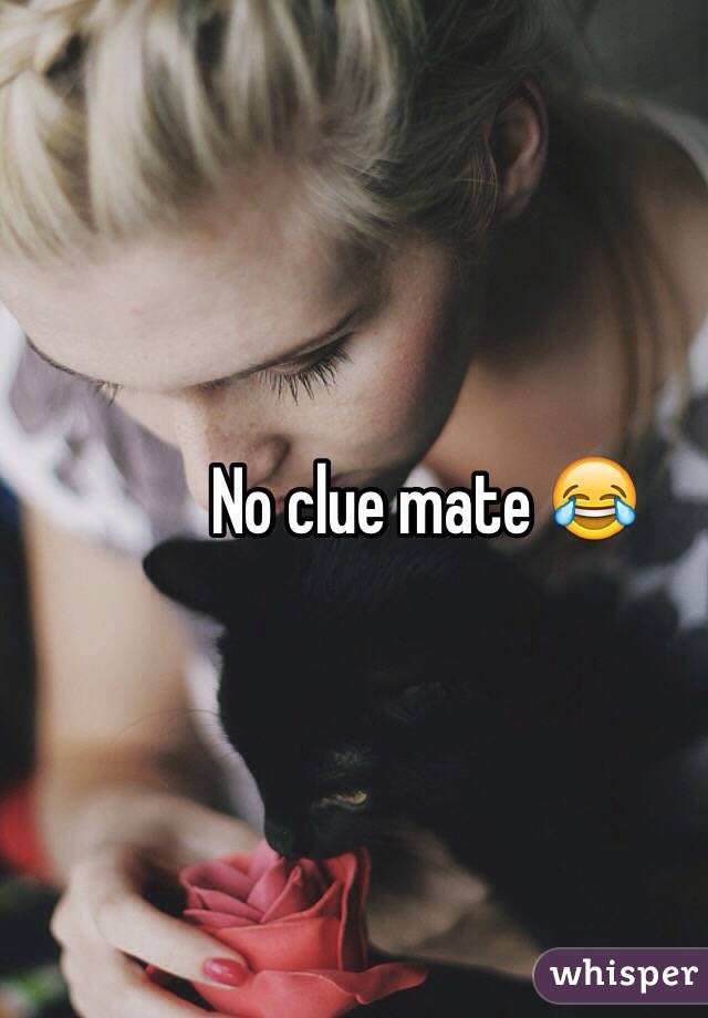 No clue mate 😂
