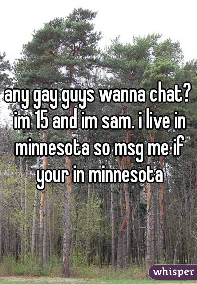 any gay guys wanna chat? im 15 and im sam. i live in minnesota so msg me if your in minnesota