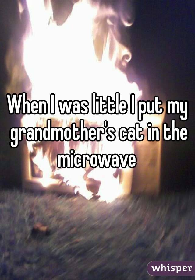 When I was little I put my grandmother's cat in the microwave 