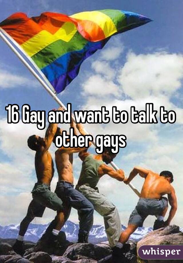16 Gay and want to talk to other gays