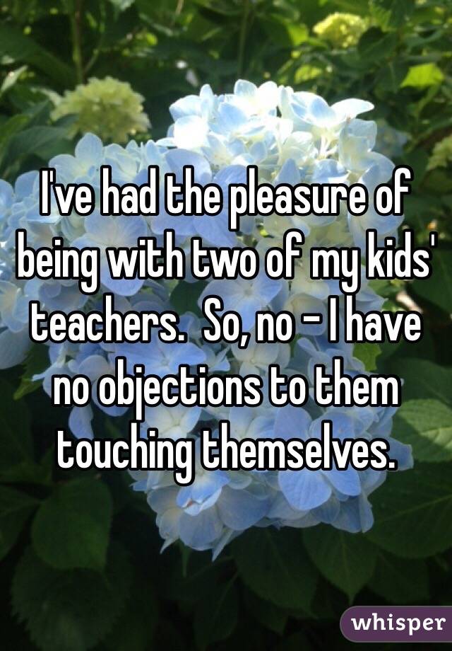 I've had the pleasure of being with two of my kids' teachers.  So, no - I have no objections to them touching themselves.