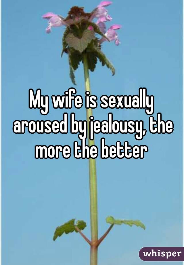 My wife is sexually aroused by jealousy, the more the better 