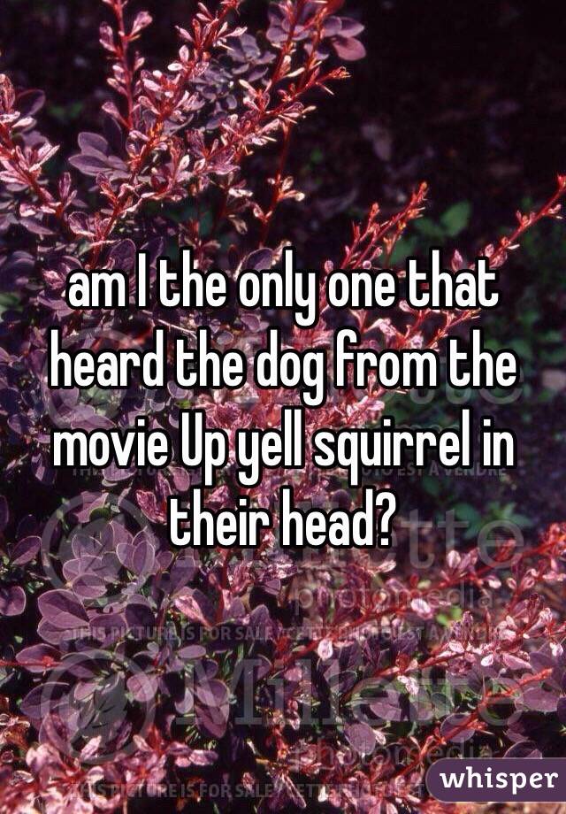 am I the only one that heard the dog from the movie Up yell squirrel in their head?