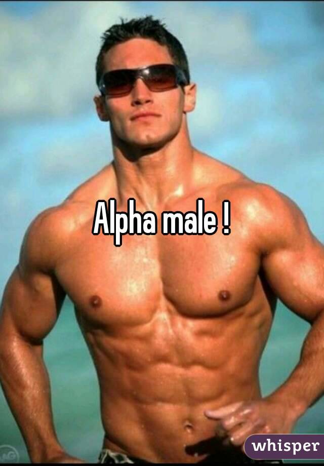 Alpha male !