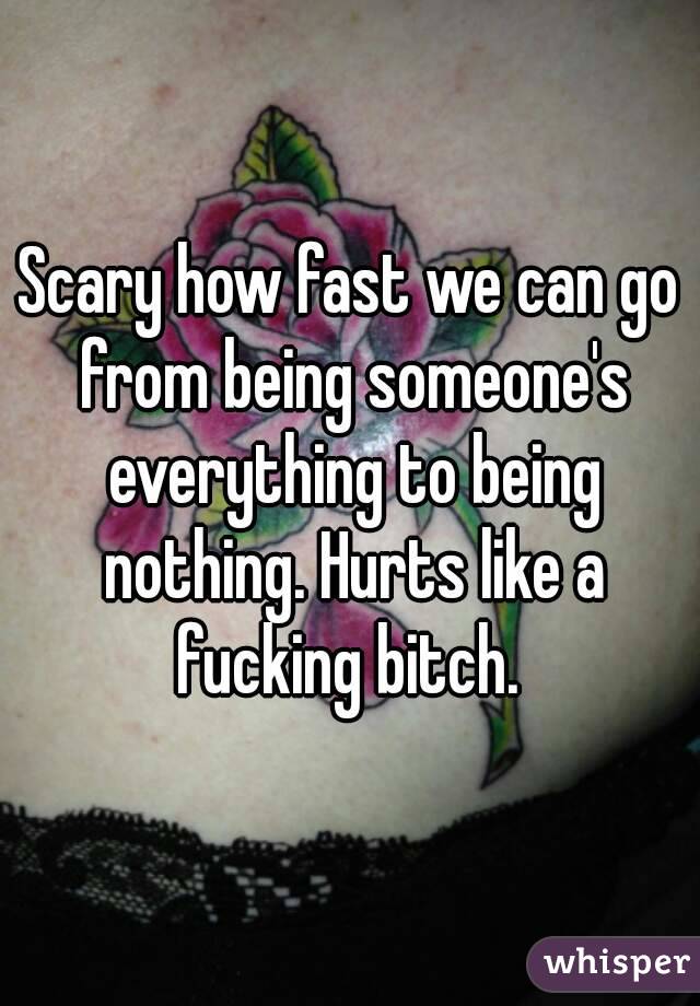 Scary how fast we can go from being someone's everything to being nothing. Hurts like a fucking bitch. 