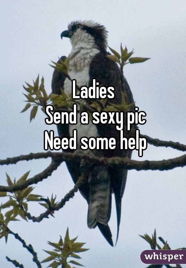 Ladies 
Send a sexy pic
Need some help
