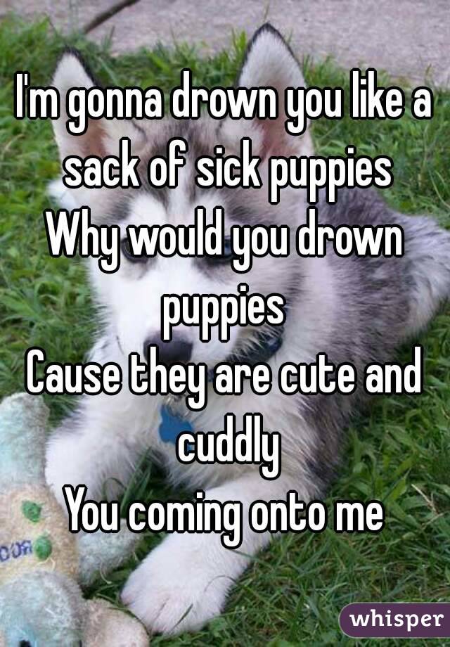 I'm gonna drown you like a sack of sick puppies
Why would you drown puppies 
Cause they are cute and cuddly
You coming onto me