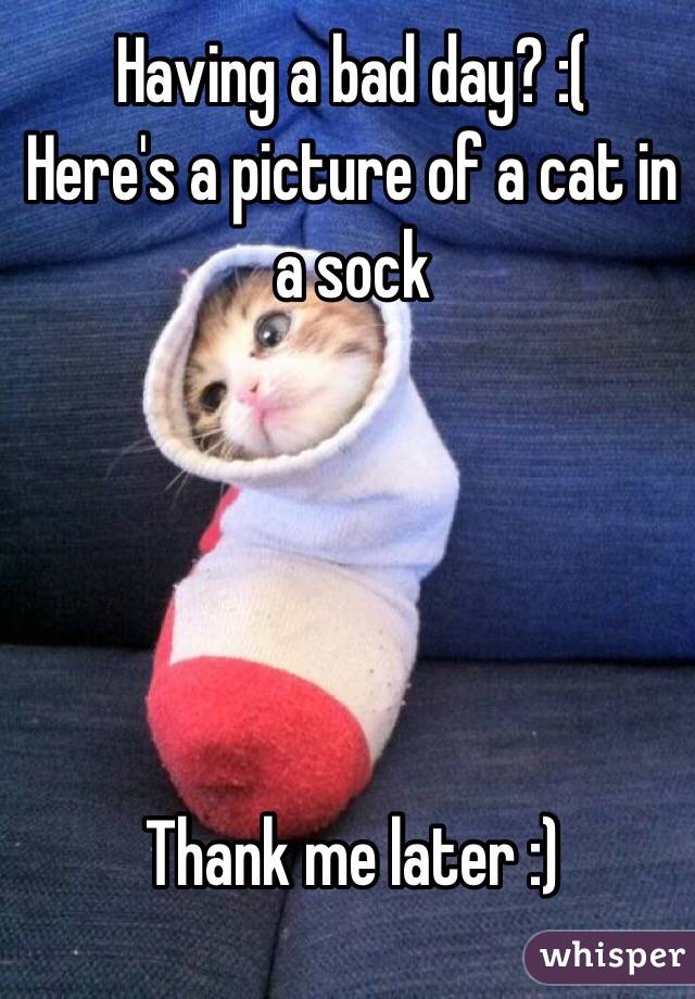 Having a bad day? :(
Here's a picture of a cat in a sock





Thank me later :)