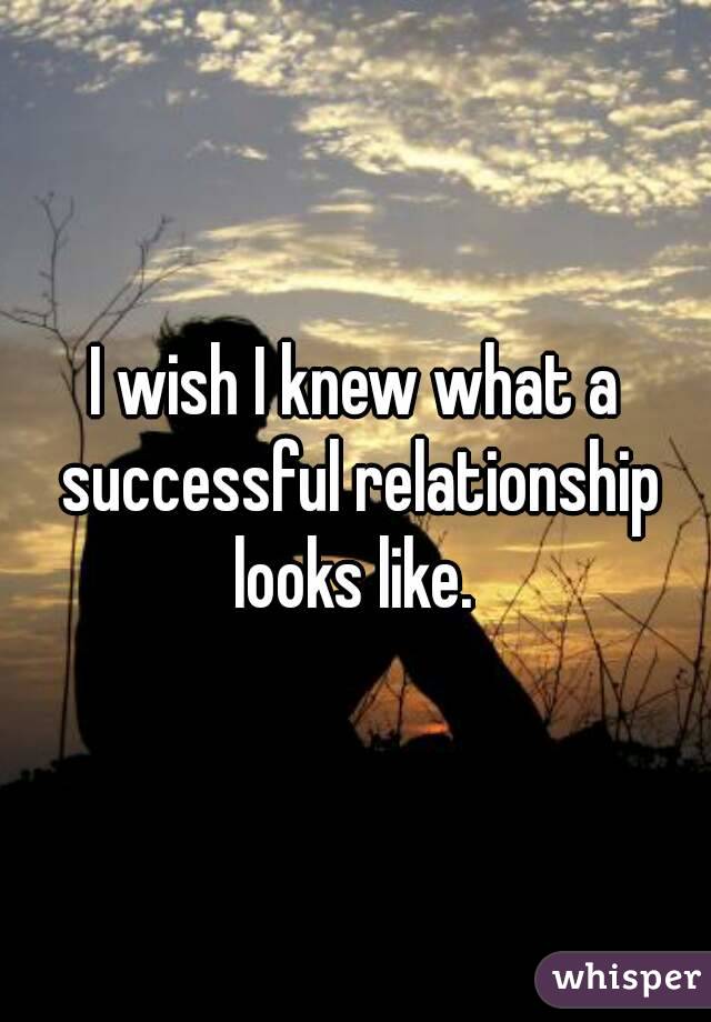 I wish I knew what a successful relationship looks like. 