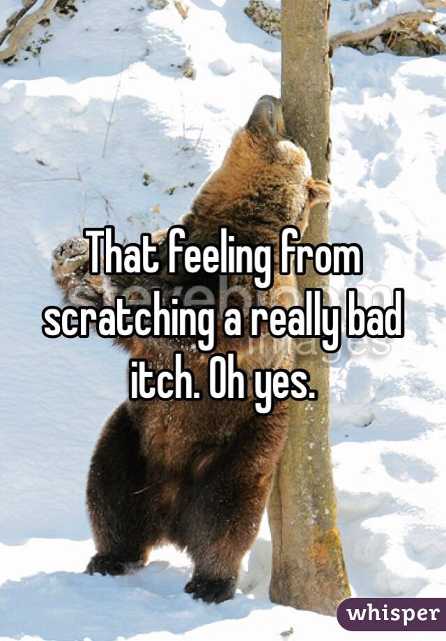 That feeling from scratching a really bad itch. Oh yes. 