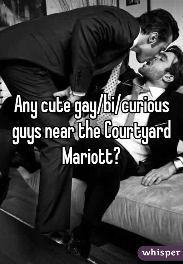 Any cute gay/bi/curious guys near the Courtyard Mariott?