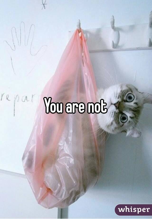 You are not