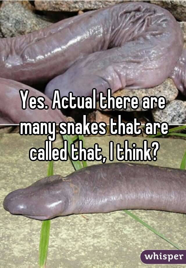 Yes. Actual there are many snakes that are called that, I think?