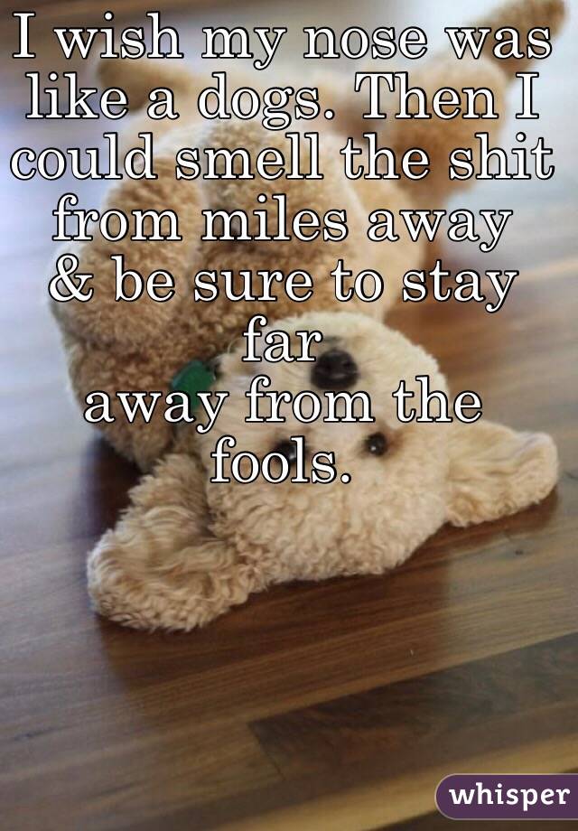 I wish my nose was
like a dogs. Then I could smell the shit
from miles away
& be sure to stay far
away from the fools.