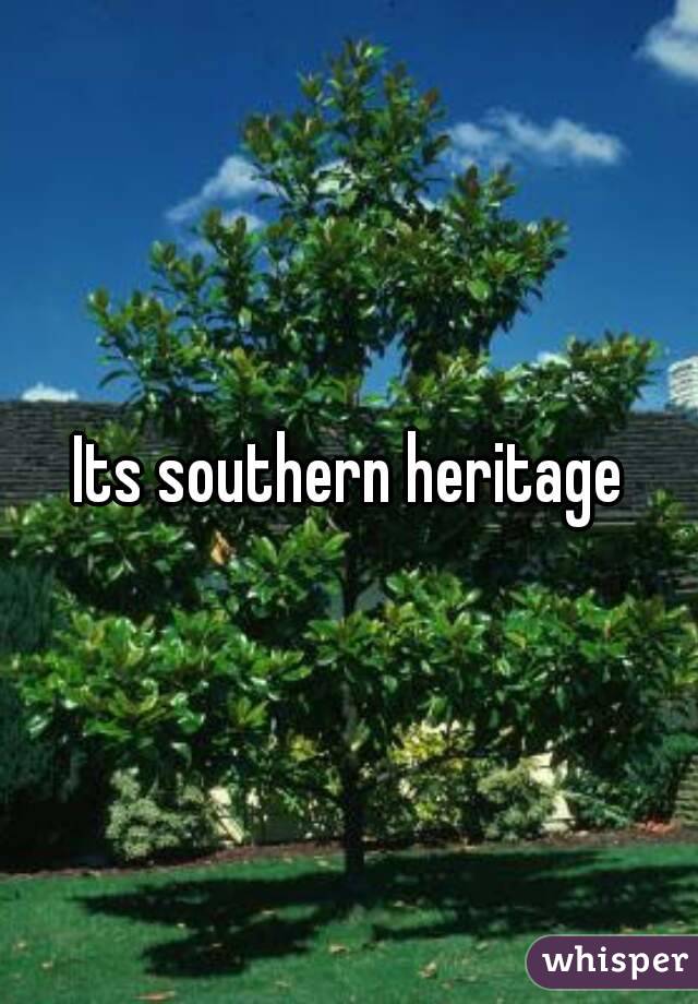 Its southern heritage