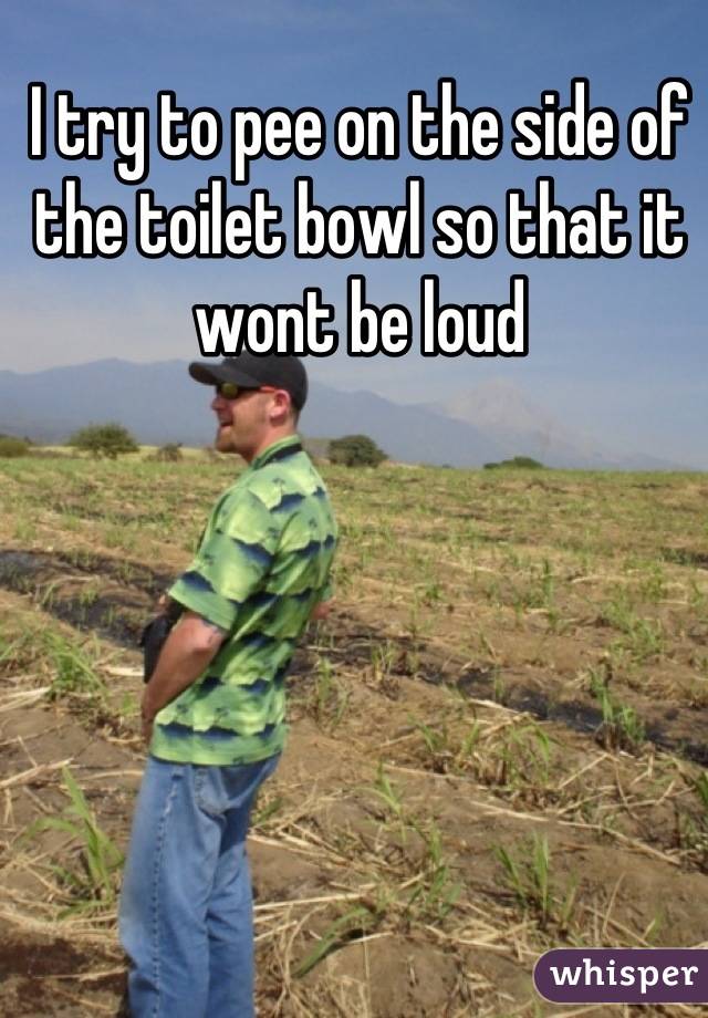 I try to pee on the side of the toilet bowl so that it wont be loud