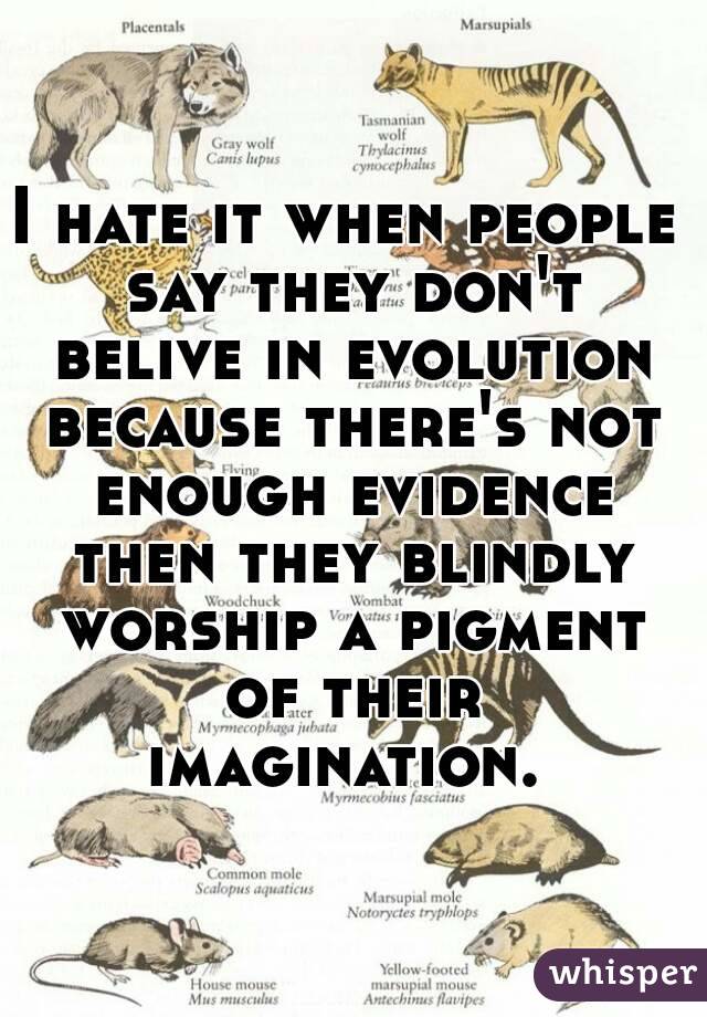 I hate it when people say they don't belive in evolution because there's not enough evidence then they blindly worship a pigment of their imagination. 