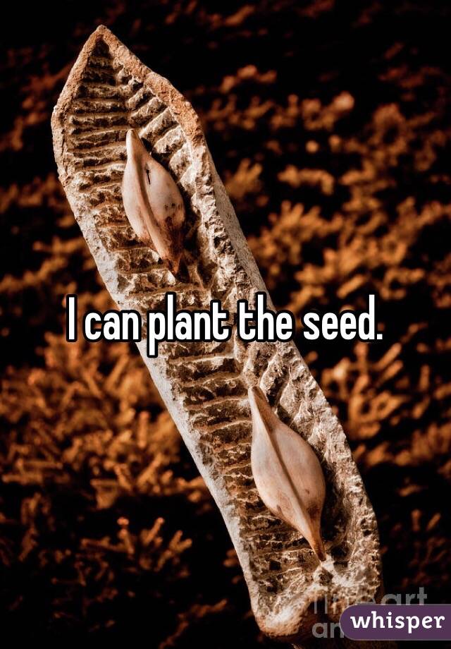 I can plant the seed. 