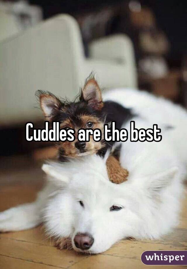 Cuddles are the best 