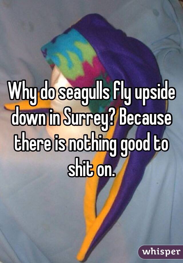 Why do seagulls fly upside down in Surrey? Because there is nothing good to shit on. 