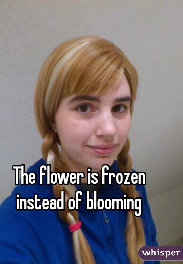 The flower is frozen instead of blooming 