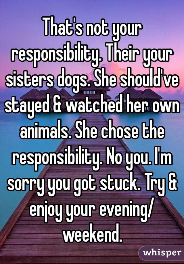That's not your responsibility. Their your sisters dogs. She should've stayed & watched her own animals. She chose the responsibility. No you. I'm sorry you got stuck. Try & enjoy your evening/ weekend.