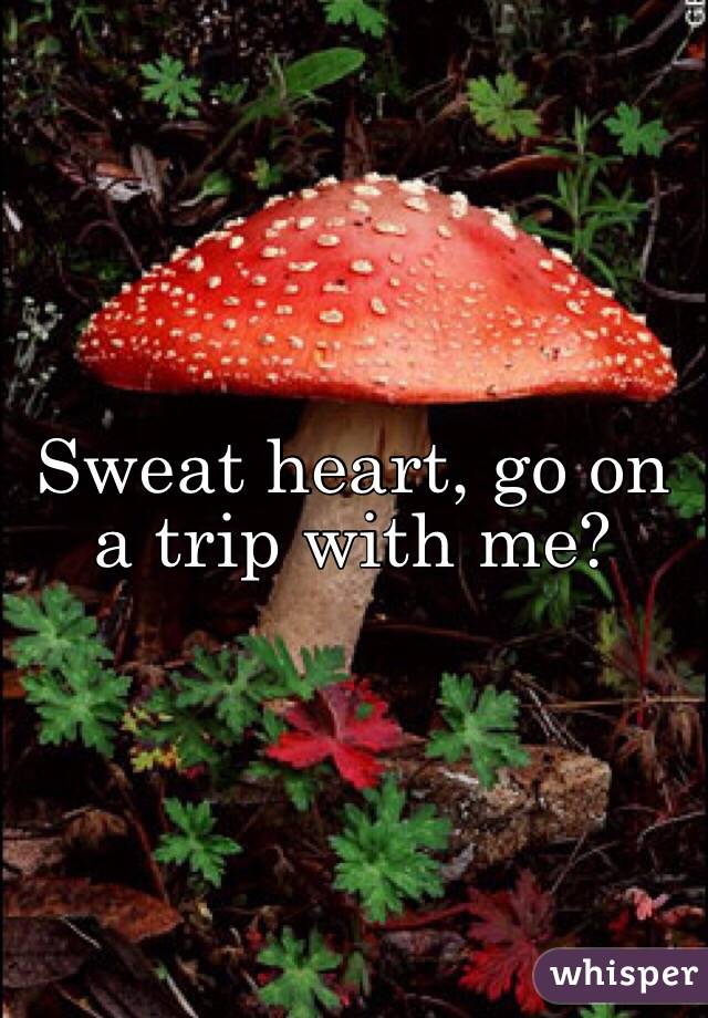 Sweat heart, go on a trip with me?
