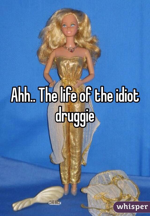 Ahh.. The life of the idiot druggie