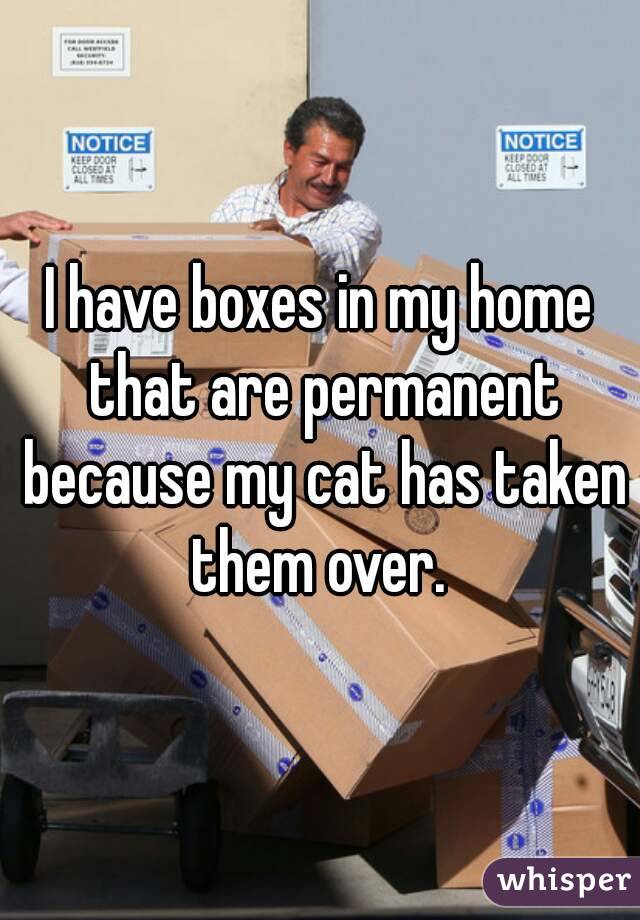I have boxes in my home that are permanent because my cat has taken them over. 