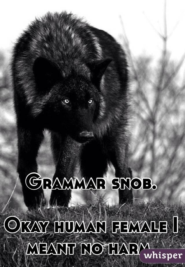 Grammar snob. 

Okay human female I meant no harm. 
