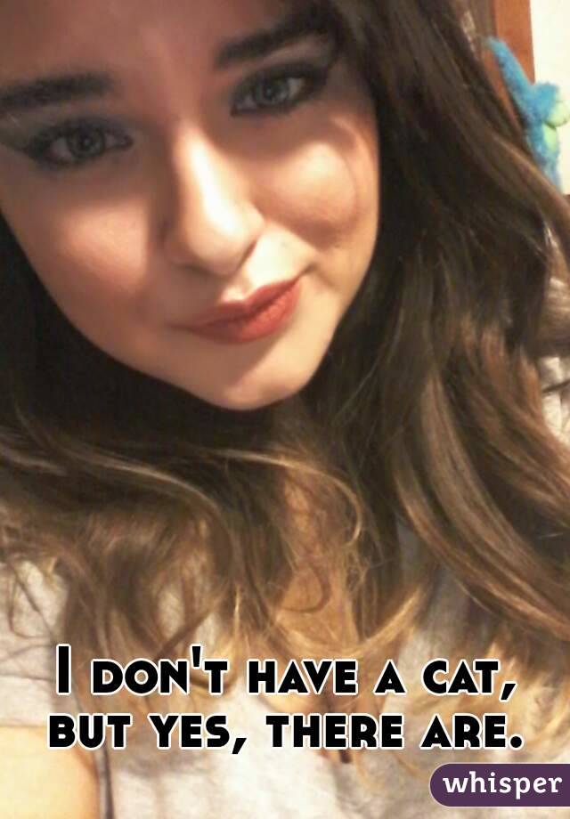 I don't have a cat, but yes, there are. 
