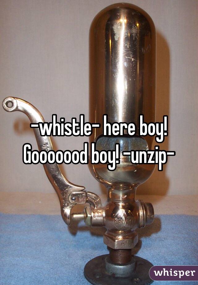 -whistle- here boy! Gooooood boy! -unzip-