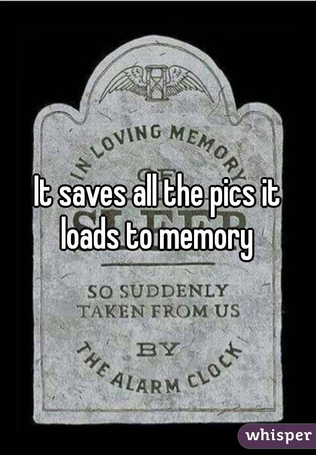It saves all the pics it loads to memory 
