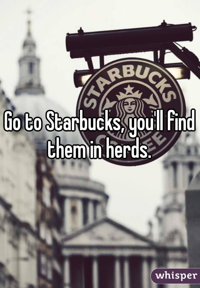 Go to Starbucks, you'll find them in herds. 