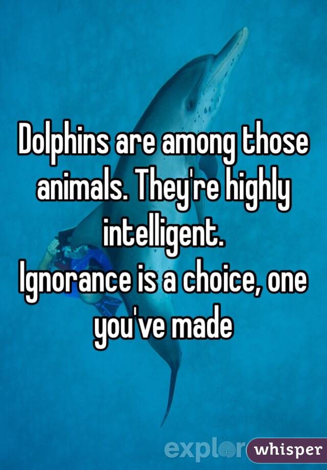 Dolphins are among those animals. They're highly intelligent. 
Ignorance is a choice, one you've made
