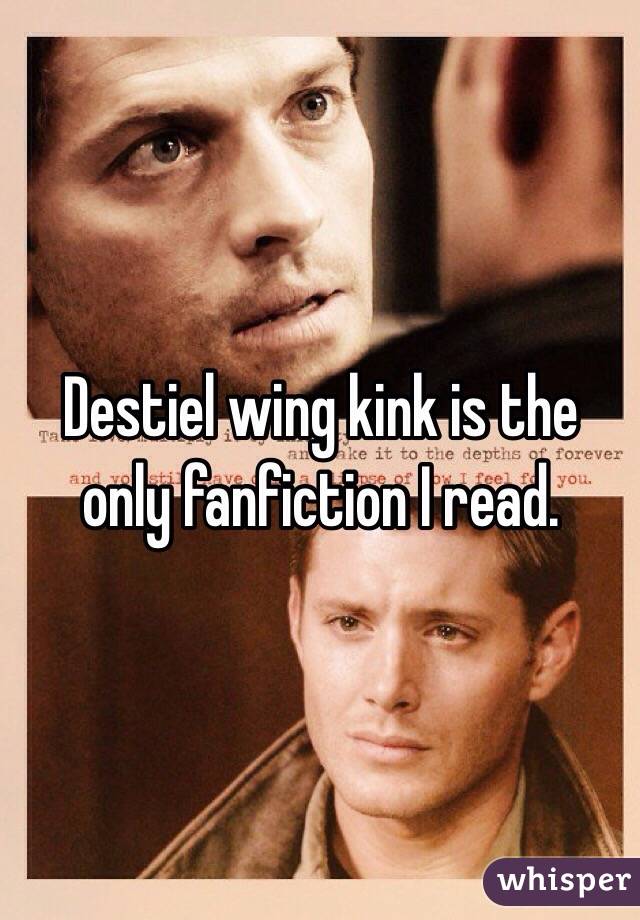 Destiel wing kink is the only fanfiction I read. 