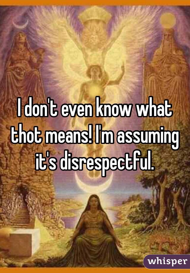 I don't even know what thot means! I'm assuming it's disrespectful. 