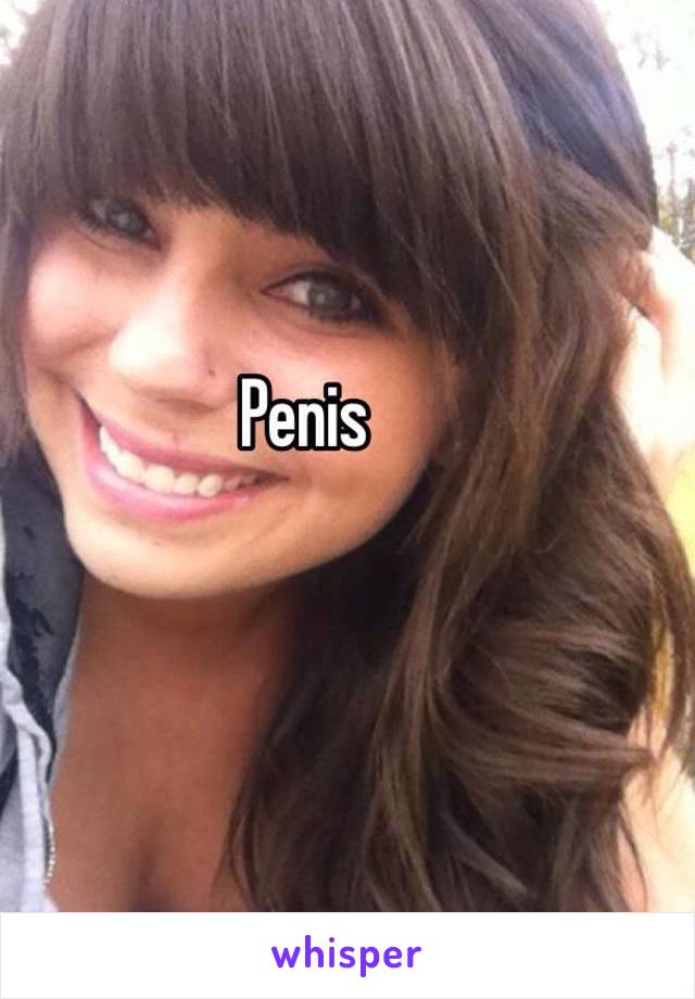 Penis