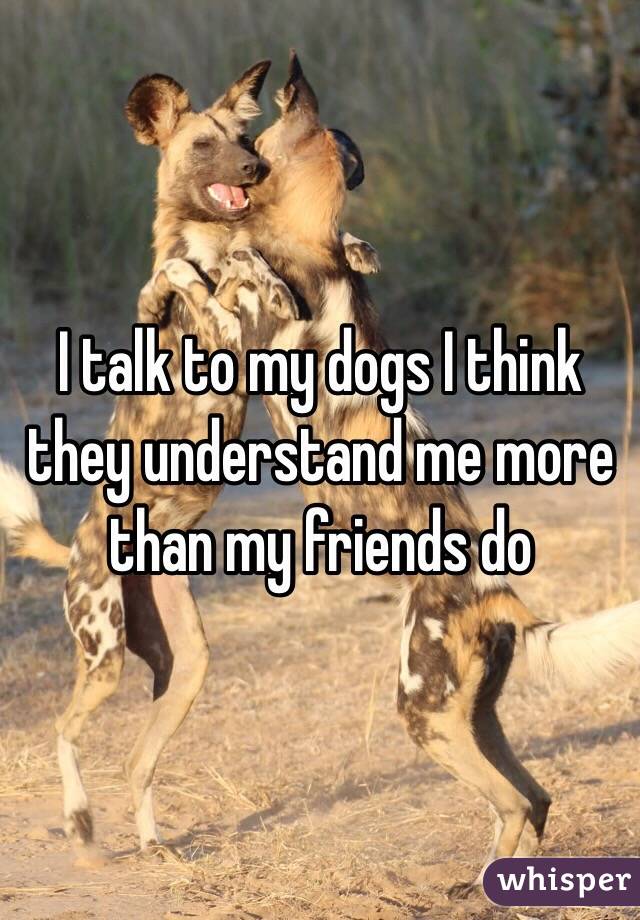 I talk to my dogs I think they understand me more than my friends do 